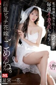 SSIS-798 Ichika Hoshimiya ฉันขอโทษที่ฉันเป็นเจ้าสาวที่เอาแต่ใจและได้มีอะไรกับแฟนเก่าทุกสัปดาห์